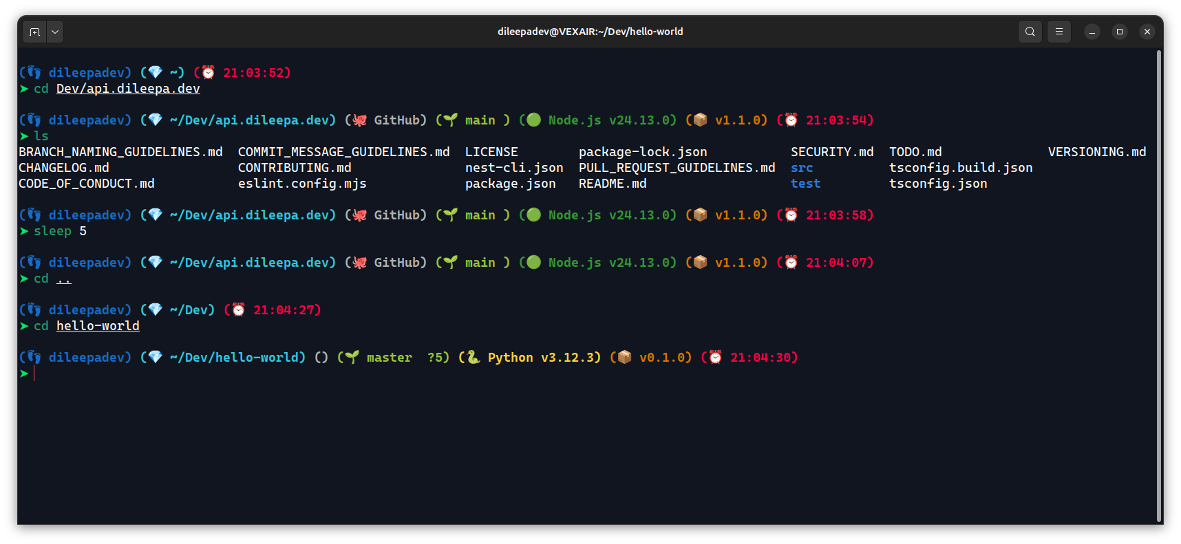 Ubuntu Terminal with Starship v1.0